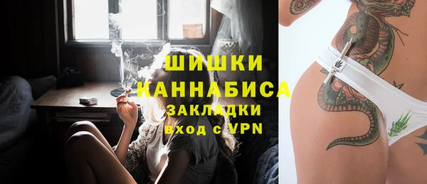 прущие грибы Белокуриха