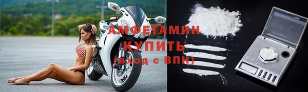 прущие грибы Белокуриха