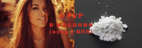 прущие грибы Белокуриха