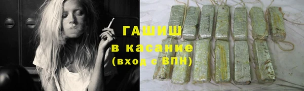 прущие грибы Белокуриха