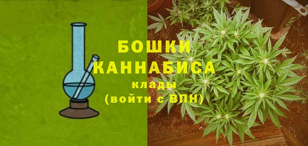 эйфоретик Баксан