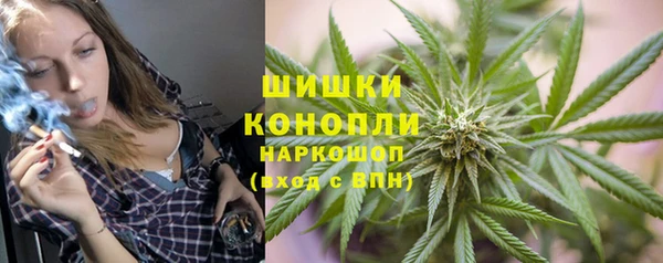прущие грибы Белокуриха
