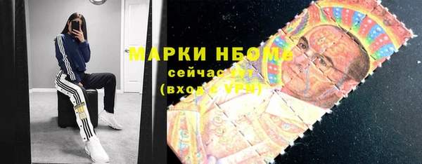 прущие грибы Белокуриха
