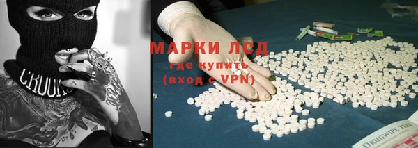 прущие грибы Белокуриха