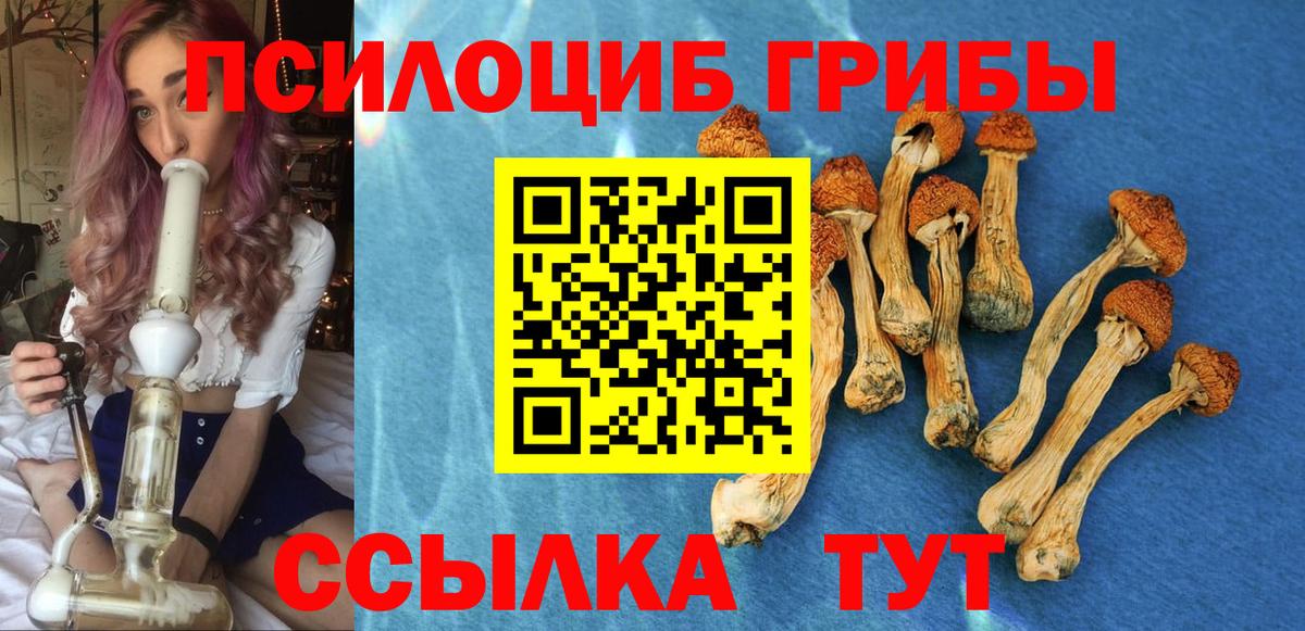Псилоцибиновые грибы прущие грибы Кушва