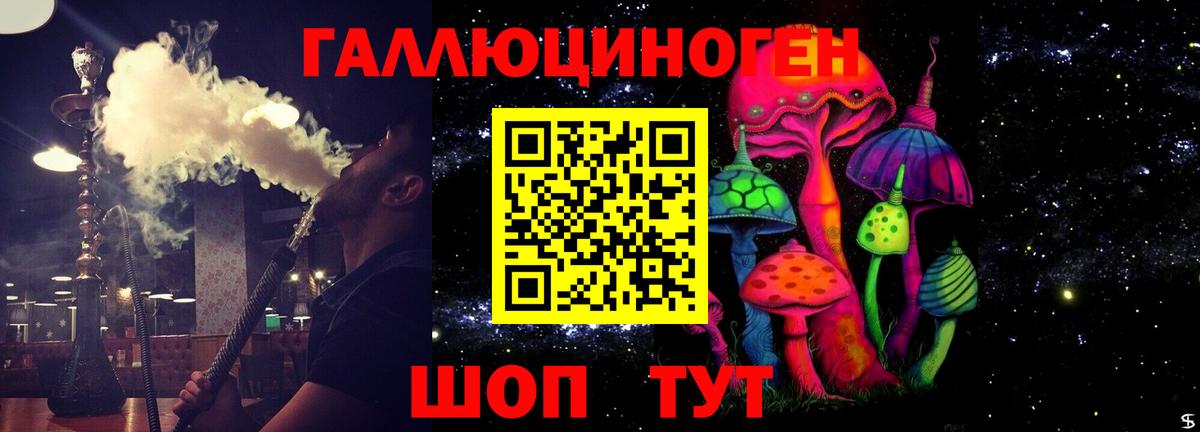 Псилоцибиновые грибы GOLDEN TEACHER  Вход с VPN  Кушва  Галлюциногенные грибы Psilocybe 